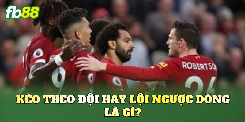 Kèo theo đội hay lội ngược dòng là gì?