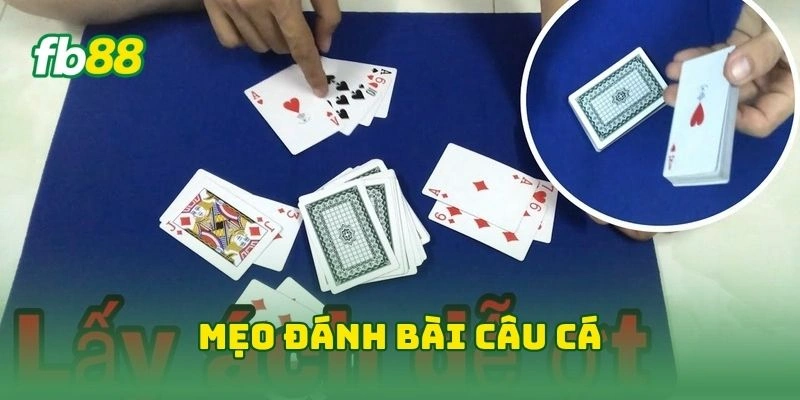 Bài Câu Cá FB88 2026 - Bí Kíp Chơi Hay Thắng Lớn Cực Đậm! 3 Mẹo đánh bài câu cá