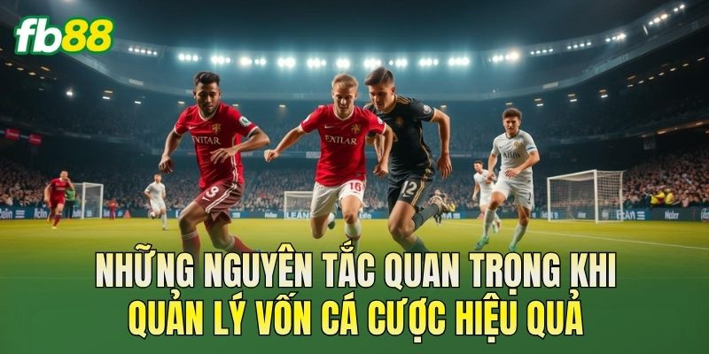 Những nguyên tắc quan trọng khi quản lý vốn cá cược hiệu quả