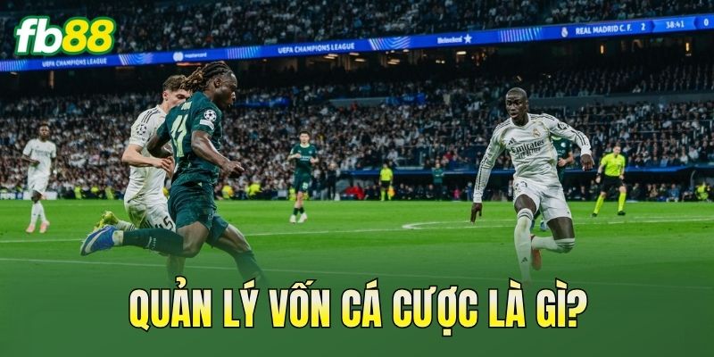 Quản lý vốn cá cược là gì?