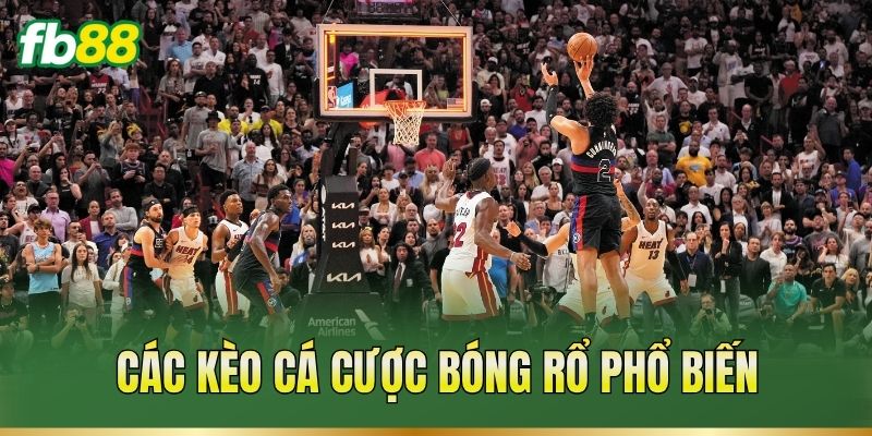 Các kèo cá cược bóng rổ phổ biến