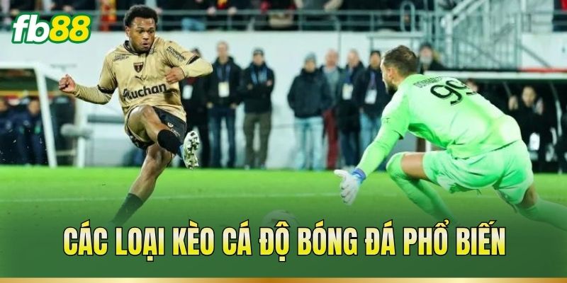 Các loại kèo cá độ bóng đá phổ biến