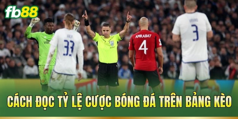 Cách đọc tỷ lệ cược bóng đá trên bảng kèo